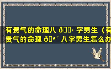 有贵气的命理八 🌷 字男生（有贵气的命理 🪴 八字男生怎么办）